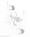Fig. 03 - Suspension system for vehicle including composite leaf spring
