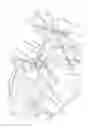 Fig. 02 - Handling strut