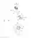 Fig. 03 - Roll rod device for vehicle