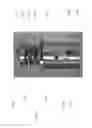 Fig. 33 - CONCENTRIC COUNTER-COIL TIE DOWN SYSTEM FOR QUICKLY SECURING OBJECTS
