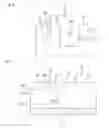 Fig. 07 - Wiring structure