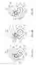 Fig. 05 - Bicycle derailleur