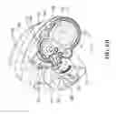 Fig. 09 - Bicycle derailleur