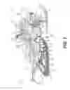 Fig. 02 - Side panel for a vehicle