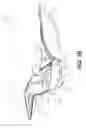 Fig. 08 - Side panel for a vehicle