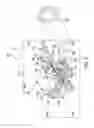 Fig. 08 - Replaceable blade