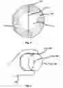 Fig. 05 - Squeezable container and dispenser assembly and method of use
