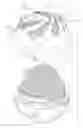 Fig. 01 - LIP PRODUCT CONTAINERS, AND METHODS FOR MANUFACTURING THE SAME