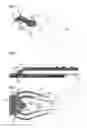 Fig. 02 - Package material and package container formed with said material