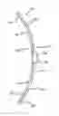 Fig. 01 - Packaging device for a windscreen wiper comprising a curved blade and an integrated flexible structure