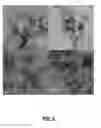 Fig. 06 - Methods and systems for microwave assisted production of graphitic materials