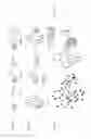 Fig. 43 - Three-dimensional boron-rich clusters