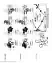 Fig. 47 - Three-dimensional boron-rich clusters