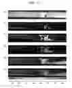 Fig. 08 - METHODS AND APPARATUS FOR EDGE SURFACE INSPECTION OF A MOVING GLASS WEB