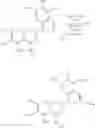 Fig. 59 - Methods for preparing bis-tetrahydroisoquinoline-containing compounds