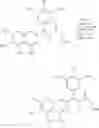 Fig. 62 - Methods for preparing bis-tetrahydroisoquinoline-containing compounds