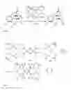 Fig. 02 - METHOD FOR CATALYTIC PREPARATION OF HYDROMORPHONE, HYDROCODONE, AND OTHER OPIATES