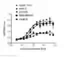 Fig. 01 - Antagonistic Antibodies Specifically Binding Human CD40 and Methods of Use