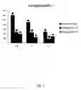 Fig. 04 - 3D printable biodegradable polymer composite