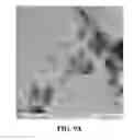 Fig. 09 - Composite material with enhanced mechanical properties and a method to fabricate the same