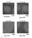 Fig. 35 - Method for the preparation of a coating comprising oligomeric alkynes