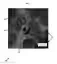 Fig. 02 - Multiphase coatings with separated functional particles, and methods of making and using the same