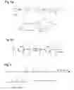 Fig. 02 - Optical adhesive and optical laminates and lenses formed with same
