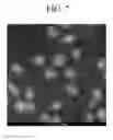 Fig. 06 - Semiconductor nanocrystal particles and devices including the same