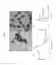 Fig. 02 - Diagnostic device and related method
