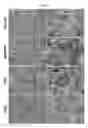Fig. 03 - Stabilized amorphous calcium carbonate as a supplement for cell culture media