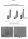Fig. 07 - Stabilized amorphous calcium carbonate as a supplement for cell culture media