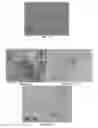 Fig. 08 - Stabilized amorphous calcium carbonate as a supplement for cell culture media