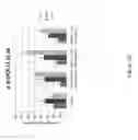 Fig. 13 - Modulation of Angiogenesis