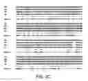 Fig. 13 - Crispr/Cas-Related Methods and Compositions for Treating Duchenne Muscular Dystrophy and Becker
