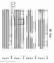 Fig. 15 - Crispr/Cas-Related Methods and Compositions for Treating Duchenne Muscular Dystrophy and Becker
