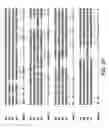 Fig. 16 - Crispr/Cas-Related Methods and Compositions for Treating Duchenne Muscular Dystrophy and Becker