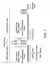 Fig. 27 - Crispr/Cas-Related Methods and Compositions for Treating Duchenne Muscular Dystrophy and Becker