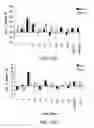 Fig. 45 - Crispr/Cas-Related Methods and Compositions for Treating Duchenne Muscular Dystrophy and Becker