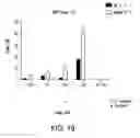 Fig. 47 - Crispr/Cas-Related Methods and Compositions for Treating Duchenne Muscular Dystrophy and Becker