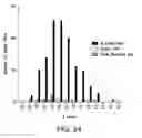Fig. 52 - Crispr/Cas-Related Methods and Compositions for Treating Duchenne Muscular Dystrophy and Becker