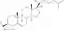 Fig. 26 - Reduced size self-delivering nucleic acid compounds targeting long non-coding RNA