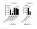 Fig. 08 - CROSS-REGULATION OF TYPE I INTERFERON SIGNALING PATHWAYS