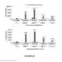 Fig. 09 - CROSS-REGULATION OF TYPE I INTERFERON SIGNALING PATHWAYS