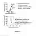 Fig. 28 - CROSS-REGULATION OF TYPE I INTERFERON SIGNALING PATHWAYS