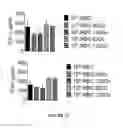 Fig. 33 - CROSS-REGULATION OF TYPE I INTERFERON SIGNALING PATHWAYS