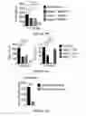 Fig. 44 - CROSS-REGULATION OF TYPE I INTERFERON SIGNALING PATHWAYS