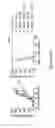Fig. 50 - CROSS-REGULATION OF TYPE I INTERFERON SIGNALING PATHWAYS