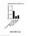 Fig. 67 - CROSS-REGULATION OF TYPE I INTERFERON SIGNALING PATHWAYS