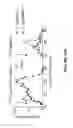Fig. 77 - CROSS-REGULATION OF TYPE I INTERFERON SIGNALING PATHWAYS
