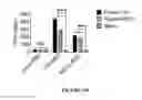 Fig. 79 - CROSS-REGULATION OF TYPE I INTERFERON SIGNALING PATHWAYS